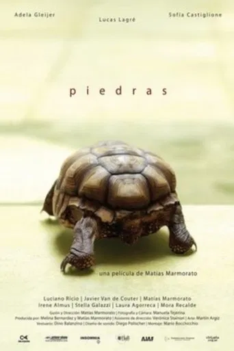 Piedras poster