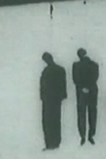 La quieta febbre poster