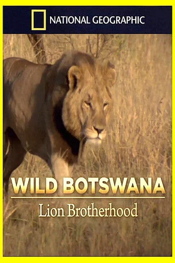 Lion Brotherhood poster