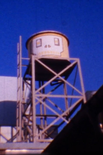 Happy Birthday, Ally! poster