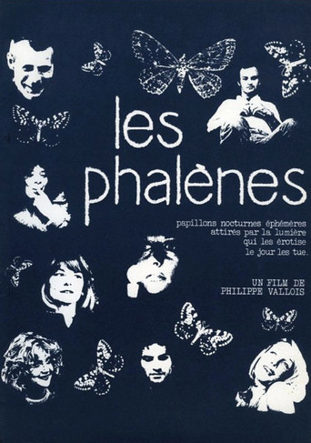 Les phalènes poster