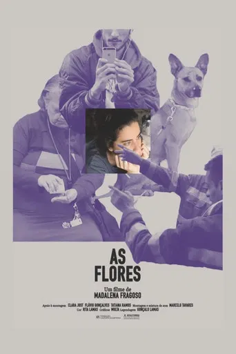 As Flores poster