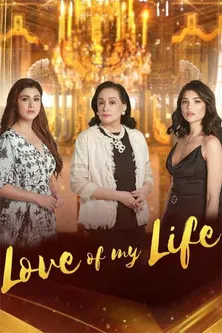 Love of My Life poster