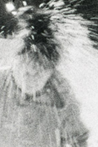 Moi et le Boff Zen poster