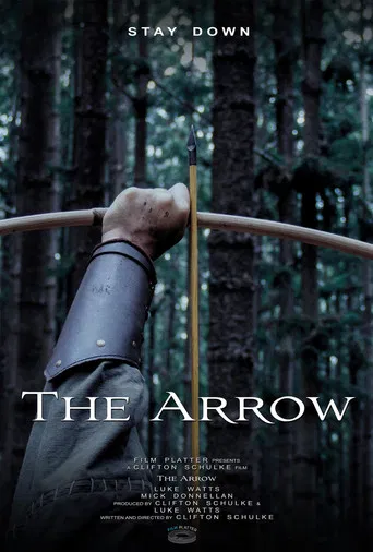 The Arrow poster