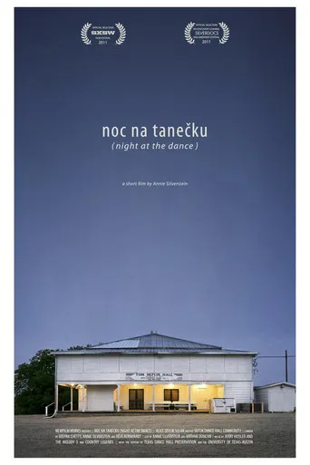 Night at the Dance poster