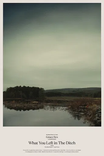 What You Left in the Ditch poster