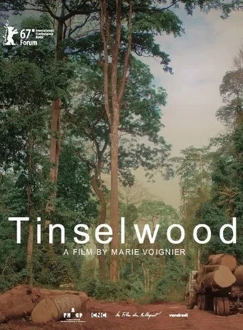 Tinselwood poster