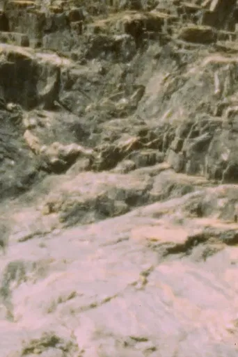 Lucina Annulata poster