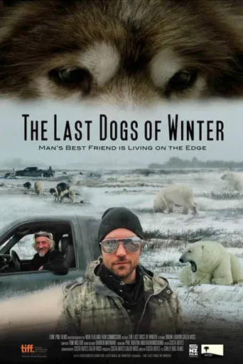 The Last Dogs of Winter poster