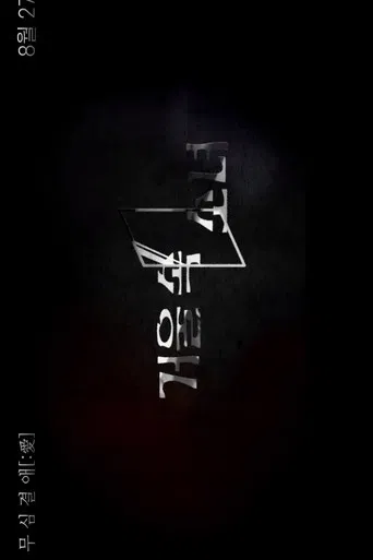 Girl in the Mirror poster