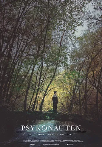 The Psychonaut poster