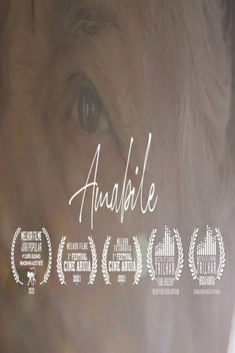 Amabile poster