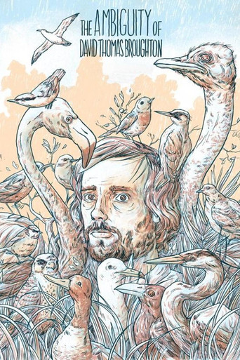 The Ambiguity of David Thomas Broughton poster
