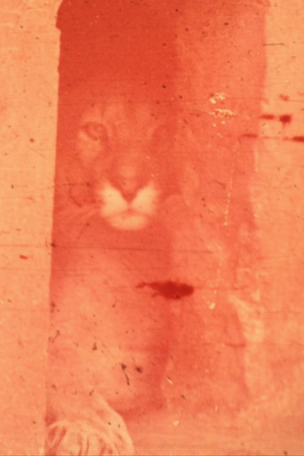 La noble ultimación de la bestia poster