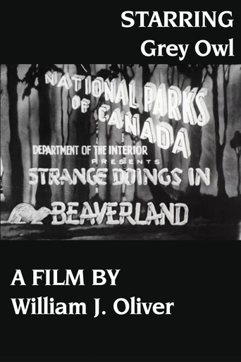 Strange Doings in Beaverland poster
