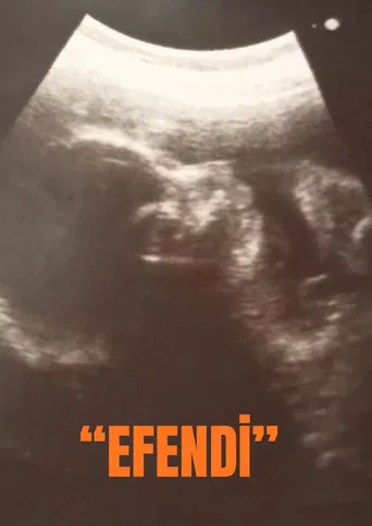 "EFENDİ" poster