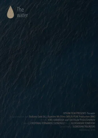 The Water poster
