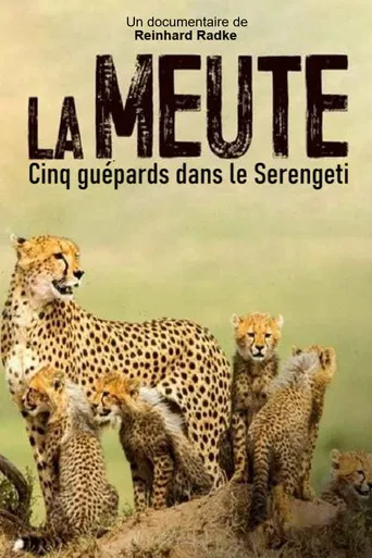 Die fünf Geparde - Gemeinsam durch die Serengeti poster