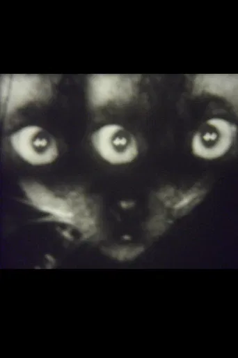 Wee Gee’s Camera Magic poster