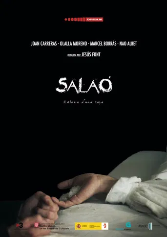 Salaó poster