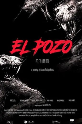 El pozo poster
