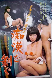 Document porno: Chikan o hagu poster