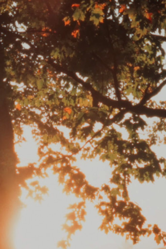 Autumn Sunrise poster