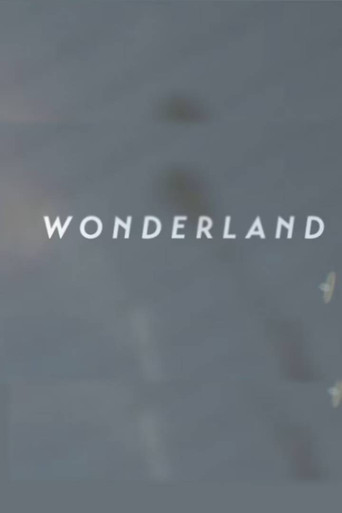 Wonderland | A Short Form Doc on Creative Commerce poster