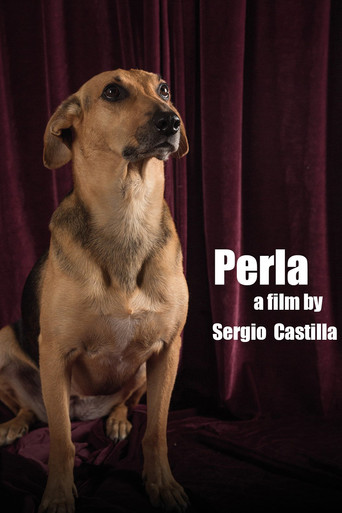 Perla poster