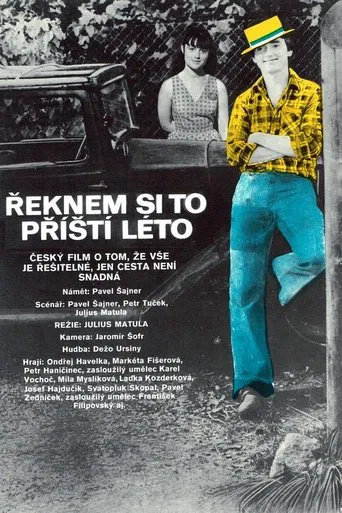 Řeknem si to příští léto poster