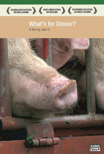 What's For Dinner? poster