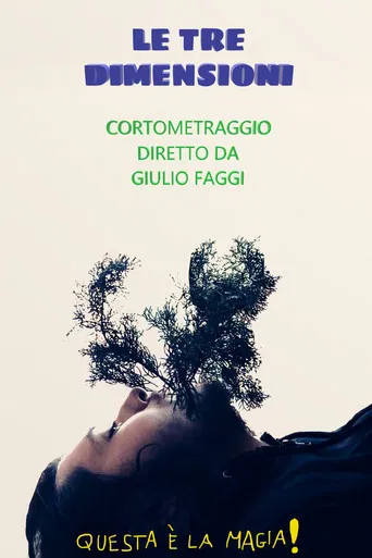 Le tre dimensioni poster