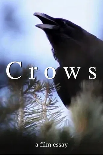Crows - A film essay poster