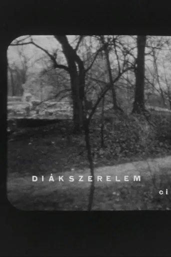 Diákszerelem poster