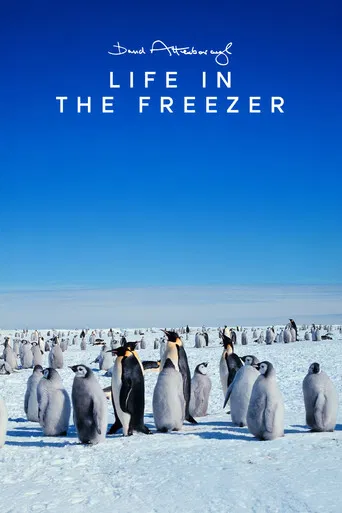 Life in the Freezer poster