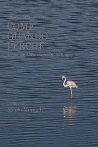 Come quando perché poster