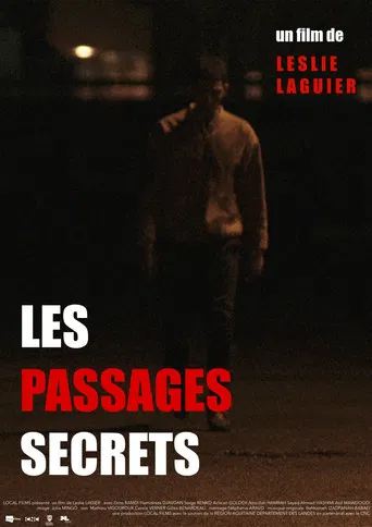 Les passages secrets poster