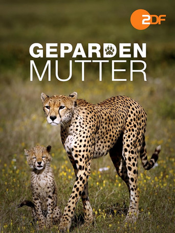 Gepardenmutter poster