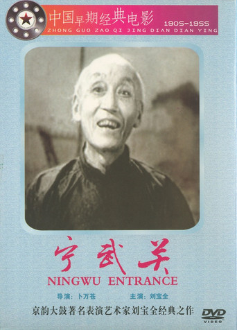 宁武关 poster