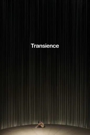 Transience poster