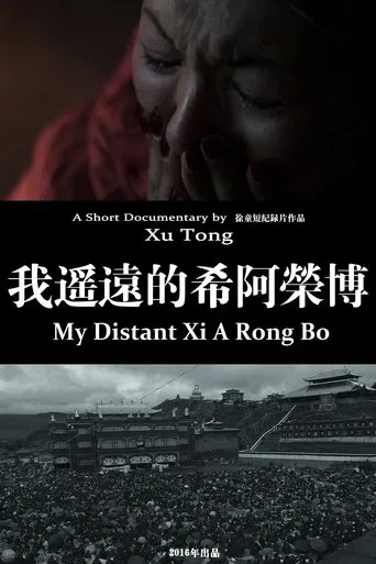 My Distant Xi A Rong Bo poster