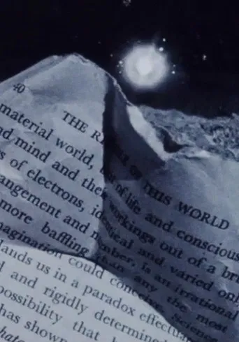 Street Film Part III poster