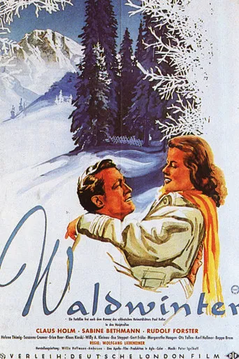 Waldwinter poster