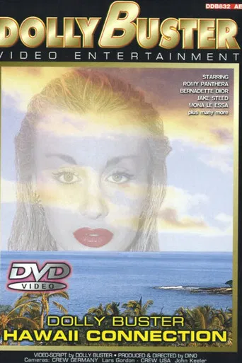 Hawaii Connection poster