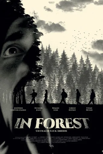 In Forest poster