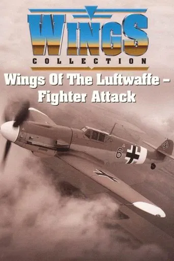 Wings of the Luftwaffe poster