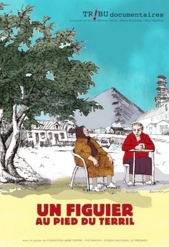 Un Figuier Au Pied Du Terril poster