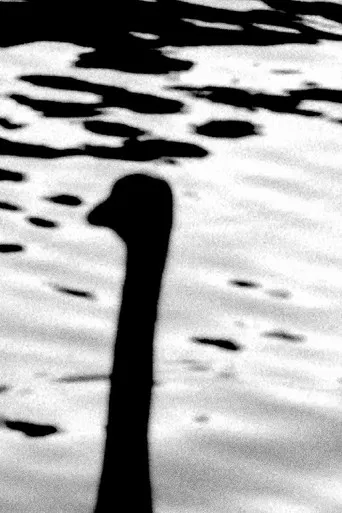 padrehijo / sueña / galicia poster