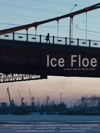 Ice Floe poster